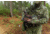 Primos Hunting Photoform Hen Decoy, Box, 69068