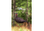 Primos Hunting Photoform Jake Decoy, Box, 69069