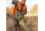 Primos Hunting Scoped Rifle Case, 48in, Mossy Oak Bottomland, Hang Tag, 65635
