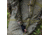 Primos Hunting Soft Bow Case, Mossy Oak Bottomland, Hang Tag, 65634