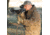 Primos Hunting Trigger Stick Gen3 Crossbow Tall Tripod Shooting Stick, 24-62in, 65818