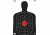 Pro-Shot Pro-Shot Splatter Shot BC27 Silhouette Targets Heavy Tag Paper 12x17 Inches 8 Pack, White, Black, SILH-8PK