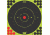 Pro-Shot Pro-Shot Splatter Shot Bullseye / 60 Target, Green, 6in, 6B-GREEN-60PK, Green, Black, 6B-GREEN-60PK