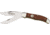 Queen Folding Hunter Curly Zebra Fold Knife, D2 tool steel clip and skinning blade, Curly Zebra African Hardwood handle QN39CZ