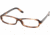 Ralf Lauren RL6028 #5147