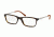 Ralph Lauren RL6134 Single Vision Prescription Eyeglasses 5003-53 - Dark Havana Frame