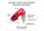 Real Avid FINI Universal Shotgun Choke Tube Wrench AVCWT210