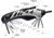 Real Avid The Gun Tool Shooters Multi-Tool, Clam Pack AVGTCL211