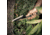 Reapr Versa Camp Knife 6.5'' Blade W/textured Finish