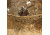 Red Rock Outdoor Gear Hunting Series Camouflage Netting, Desert, 6'x8', 068D