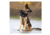 Red Rock Outdoor Gear Tactical Dog Collar, Black, Large, 38-26BLK-L