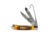 Remington Cutlery 2024 The Waterfowler Bullet Folding Knife, Blade Folding, Jigged Bone, R15696