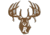 DECAL LARGE WHITE "R" BUCK