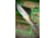 Remington King of Mountain 2026 Bullet 3.5in Fixed Blade Knife
