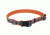 Remington Sporting Dog Reflective Adjustable Collar, Orange with Shells, 1in.x26in. R6942-G-OSH20