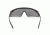 Revision Sawfly Military Eyewear System Photochromic  Kit,Black Frame, Photochromic Lens, Head Strap,Microfiber Pouch and Case 4-0076-9627