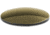 Revision Stingerhawk Eyewear Replacement Lens, Alto, Regular, 4-0152-9541