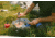 Rewild Gear Trailside Utensil
