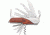 Rite Edge Multi Function Folder Knife, stainless drop point blade, g. Wood hande CN212832