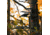Rivers Edge Treestands Big Foot TearTuff XL Lounger Hang-on Stand, Black RE556