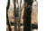 Rivers Edge Treestands Bowman Ladder Stand, RE663