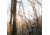 Rivers Edge Treestands Bowman Ladder Stand, RE663
