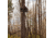 Rivers Edge Treestands Lockdown 21ft 2-Man Treestand, Rivers Edge Grey, LD202E