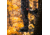 Rivers Edge Treestands Syct 2-Man Ladder Stand, Black RE642