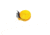Riverstones Ancra Strap 1 X 12 - Yellow PER524RS
