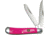 Roper Knives Pink Sky Peanut Folding Knife,Standard Edge,Clip and Spey, Pink Bone Handle RP0006P