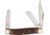 Roper Knives Tobacco Stockman Folding Knife, Satin 1065 Carbon Steel Clip, Spey, Sheepsfoot Blades, Brown Jigged Bone Handle, RP0001CTB