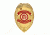 Rothco Deluxe Fire Department Badge, Gold, 1929-Gold