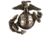 Rothco U.S.M.C. Cap Pin, Bronze, 1753