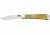 Rough Rider Trapperlock Fold Knife, SS clip blade, Tobacco bone handle RR1131