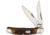 Rough Rider Copperhead Amber Jigged Bone Knife, RR2289 KB207 R BOLSTER
