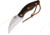 Rough Rider Pakkawood Fixed Blade