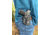 Rounded Sig Sauer Druid IWB/OWB Kydex Holster, Sig Sauer P365/P365 XL, Black, RG-DRUID-SIGP365-BK-AMBI