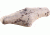 Scopecoat XP6 M1A Scope Cover, 10 in, 50 mm, Camo, 11XP02NG