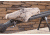 Scopecoat XP6 M1A Scope Cover, 10 in, 50 mm, Camo, 11XP02NG