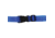 Seattle Sports Springer Collar Sm Clear 089700
