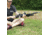 Champion Targets Pivot Bipod, 9-13 inch - 40859
