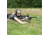 Champion Targets Pivot Bipod, 9-13 inch - 40859