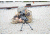 Sierra 7 Bipod Raptor Feet, 9-12in, Black, 380-924