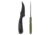 Skallywag Tactical Scorpion Pro Fixed Blade Knife, 2.75in, Steel 440c, Persian, G10 Zombie Green Handle, Black, Scorpion Pro - Zombie Green
