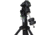 Sky Watcher EQ8-Rh Mount Head Only w/ Counterweights, Black, S30712