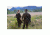 Slicker BowSlicker System Sling Fits Compound Bows, Camo, Medium, SK-A-SYSTEM-D24