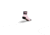 Sockguy Ladybug 1'' Wmns Red/black LADYBUG WMNS