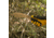 SOG Specialty Knives &amp; Tools Tellus Machete