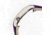 Sophie And Freda Toronto Watch - Womens, Purple/Purple, One Size, SAFSF2804