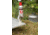 Soto Refillable Lighter, No Fuel, PT-RFL